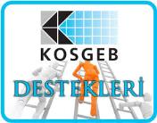 KOSGEB  DESTEĞİ (300.000 TL SIFIR FAİZ...)